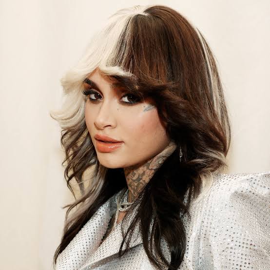 Dark Brown With Platinum Panels and Curtain Bangs Dark Brown With Platinum Panels and Curtain Bangs — Two Tone Hair