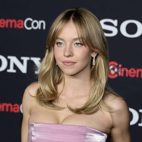 Collarbone Ash Blonde U Shape Layers — U Shape Haircuts