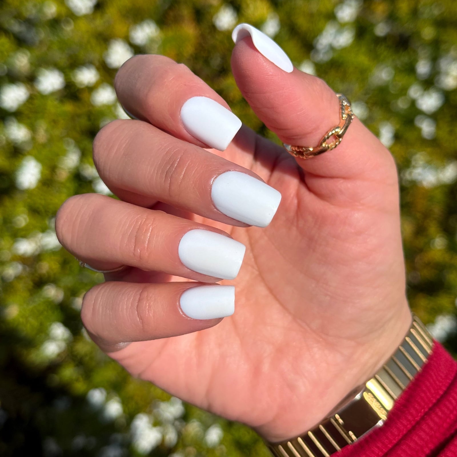 Short Square Opaque White Matte Nails Short Square Opaque White Matte Nails — White Nails