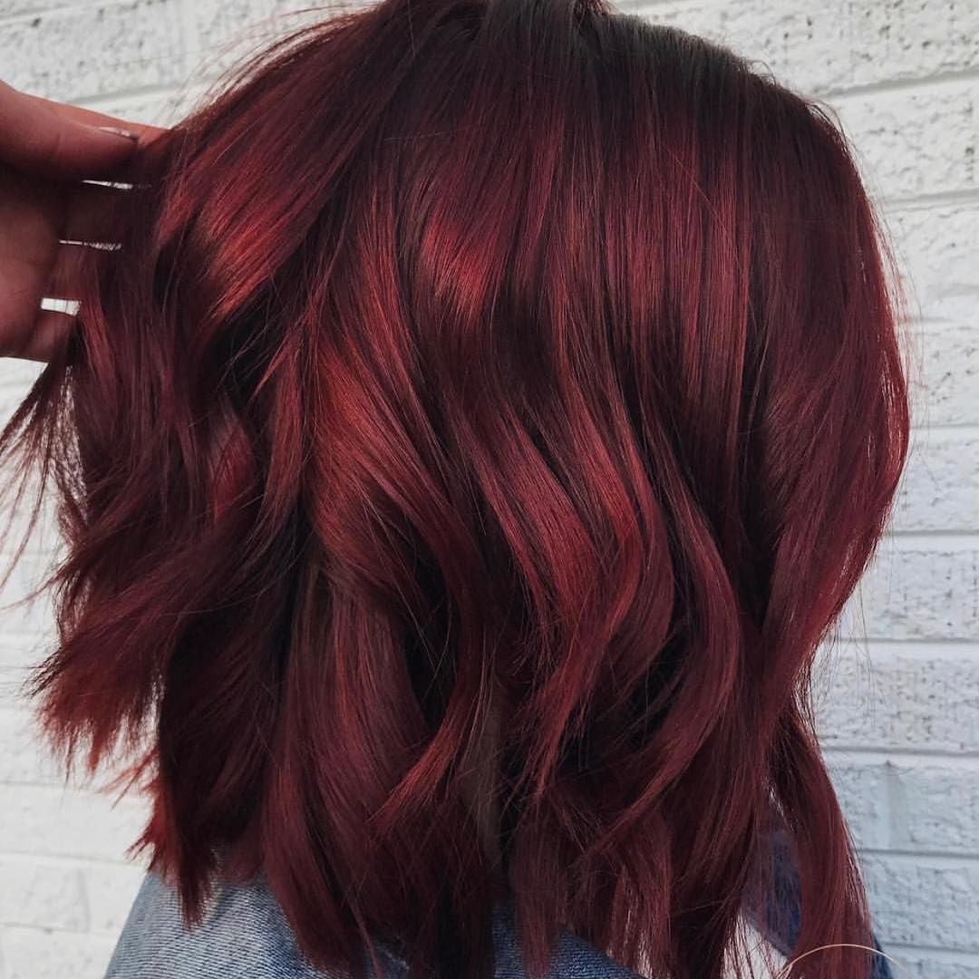 Collarbone Lob Vibrant Deep Red Undertones Collarbone Lob Vibrant Deep Red Undertones — Wine Red Hair