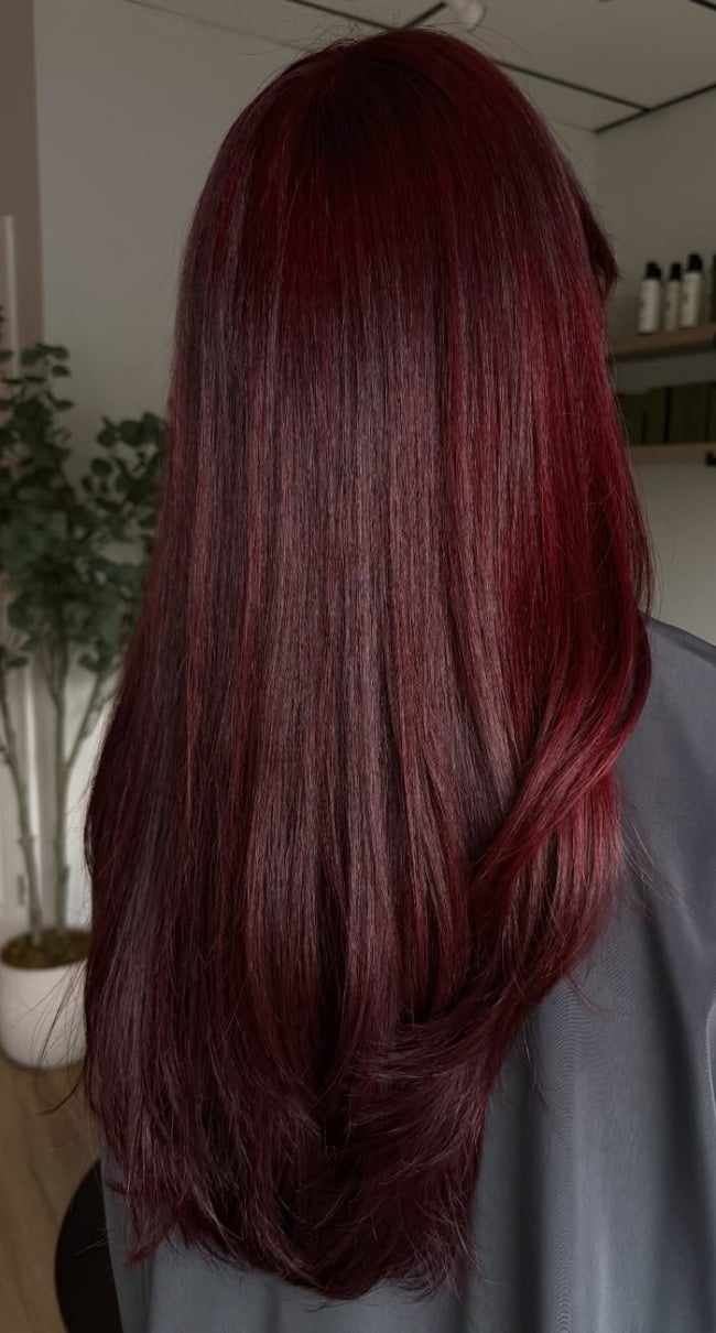 Mid-Back Deep Burgundy Red Sleek Layers Mid-Back Deep Burgundy Red Sleek Layers — Wine Red Hair