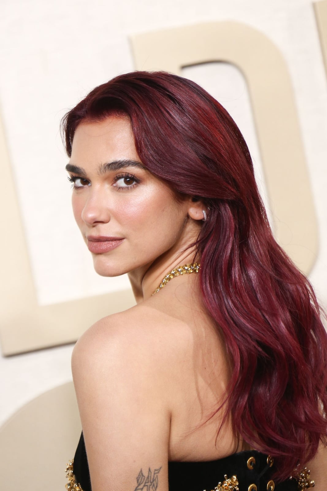 Mid-Back Wine Red Base With Lighter Highlights Mid-Back Wine Red Base With Lighter Highlights — Wine Red Hair