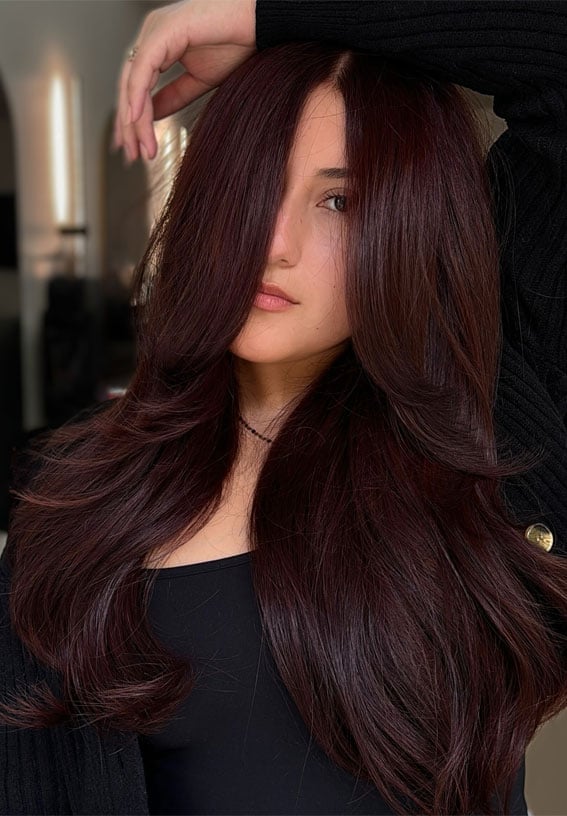 Mid-Back Rich Plum — Winter Hair Color