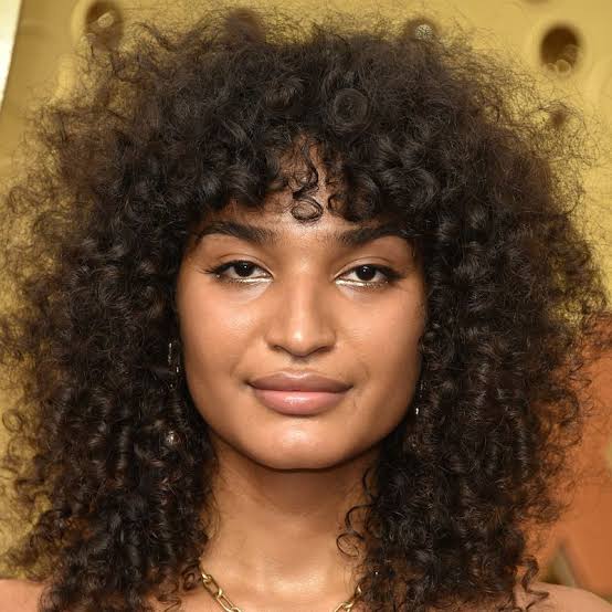 Collarbone Wolf Cut With Curtain Bangs Thick Curls — Wolf Cut Curly Hair
