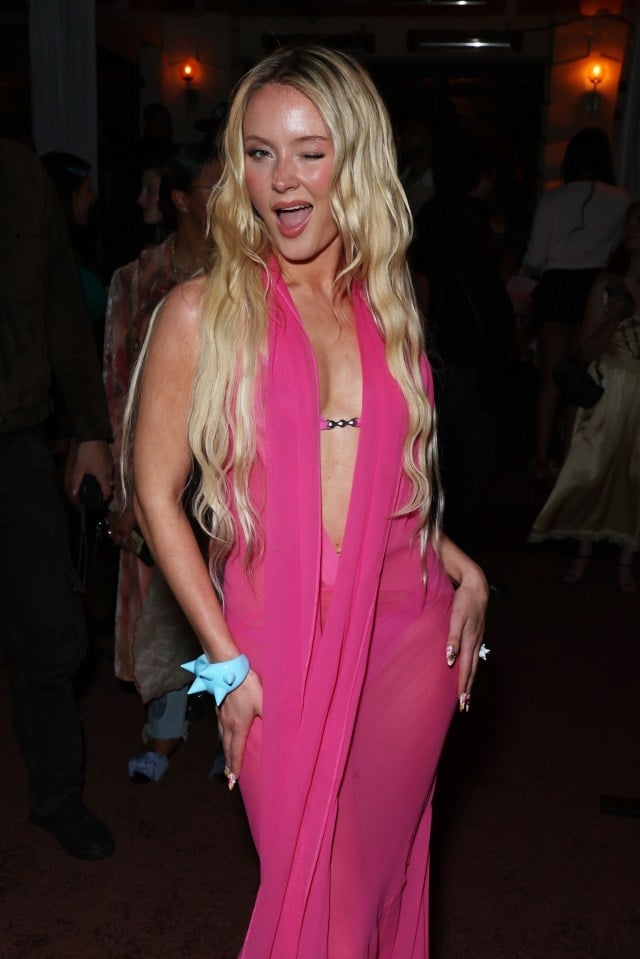 Hot Pink Sheer Gown with a Plunging Neckline — Zara Larsson Outfits