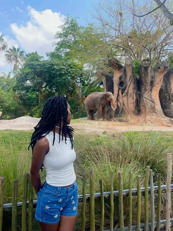 White Tank Top and Embroidered Denim Shorts — Zoo Outfits